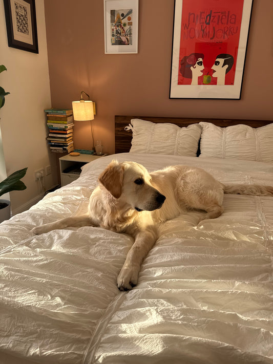 How to Wash Ruched Bedding Without Losing the Texture